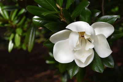 DSC_0757.JPG