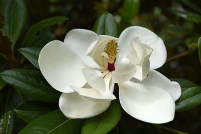 DSC_0758.JPG