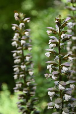 DSC_0773.JPG