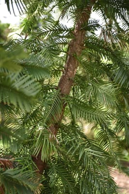 DSC_0774.JPG