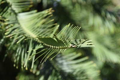 DSC_0780.JPG