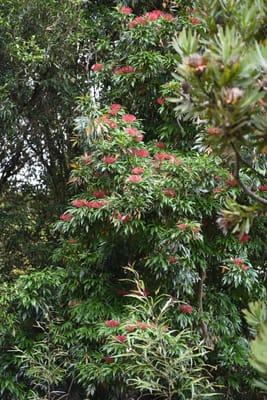DSC_0795.JPG