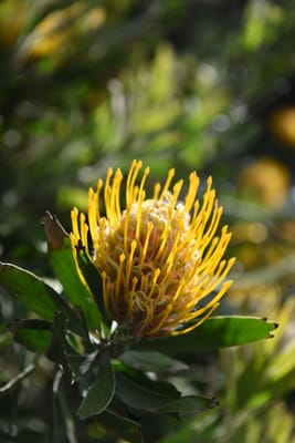 DSC_0796.JPG