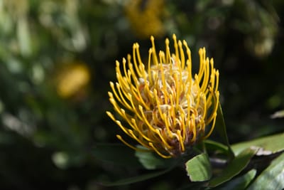 DSC_0797.JPG