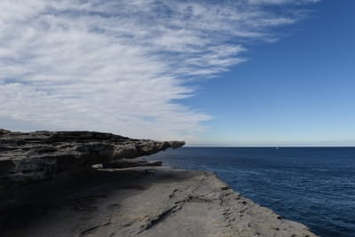 DSC_5280.JPG