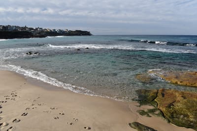 DSC_5286.JPG