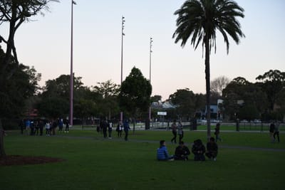 DSC_5290.JPG