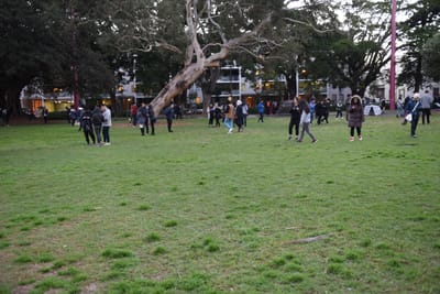 DSC_5296.JPG