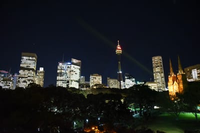 DSC_4949.JPG