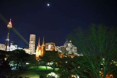 DSC_4951.JPG