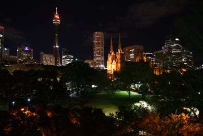 DSC_4976.JPG
