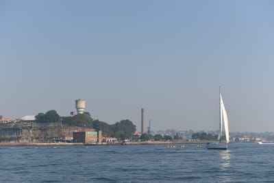 DSC_4877.JPG