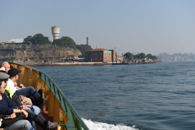 DSC_4878.JPG