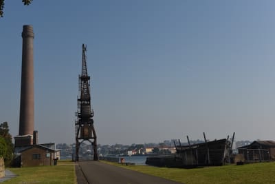 DSC_4880.JPG