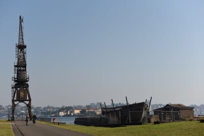 DSC_4881.JPG