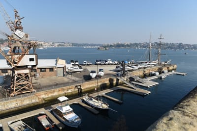 DSC_4895.JPG