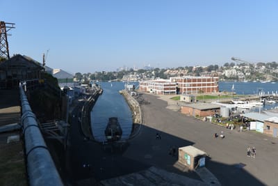 DSC_4897.JPG