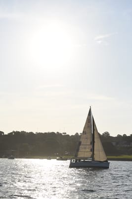 DSC_4910.JPG