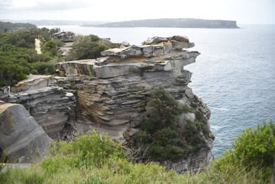 DSC_1554.JPG