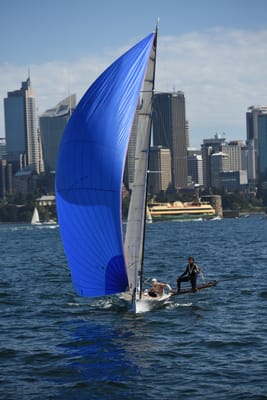 DSC_1293.JPG