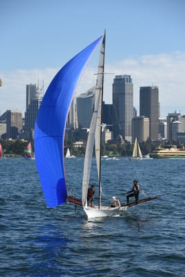 DSC_1294.JPG