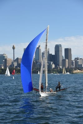 DSC_1295.JPG
