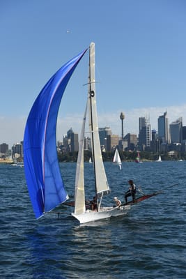 DSC_1296.JPG