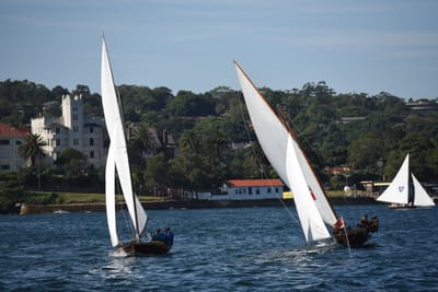 DSC_1299.JPG