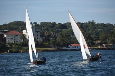 DSC_1300.JPG