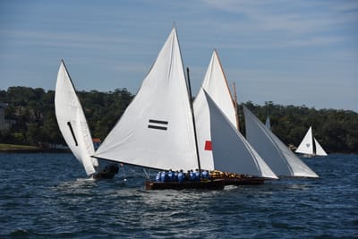 DSC_1302.JPG