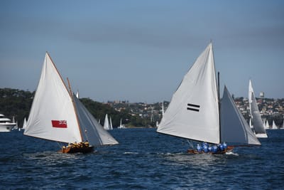 DSC_1305.JPG