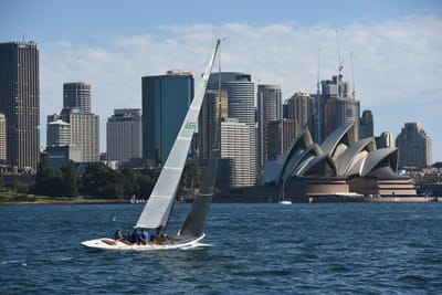 DSC_1311.JPG