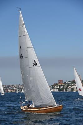 DSC_1315.JPG