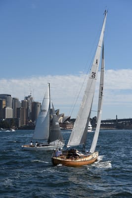 DSC_1317.JPG