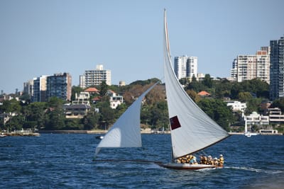 DSC_1318.JPG
