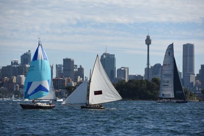 DSC_1319.JPG