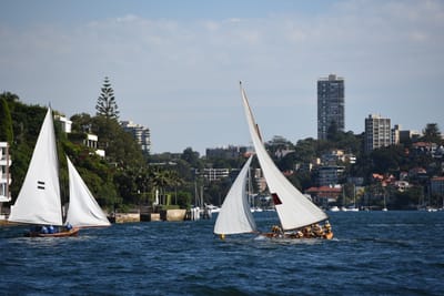 DSC_1320.JPG