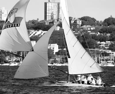 DSC_1327 bw2.jpg