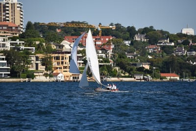 DSC_1331.JPG