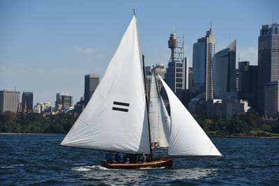 DSC_1333.JPG