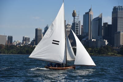DSC_1334.JPG
