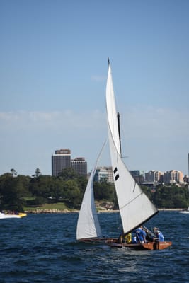 DSC_1336.JPG
