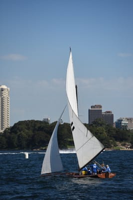 DSC_1337.JPG
