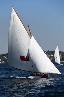 DSC_1338.JPG