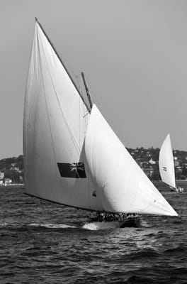 DSC_1338 bw.jpg