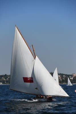 DSC_1339.JPG