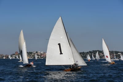 DSC_1341.JPG