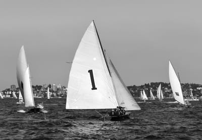 DSC_1341 bw.jpg