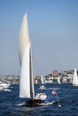 DSC_1342.JPG