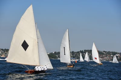 DSC_1343.JPG